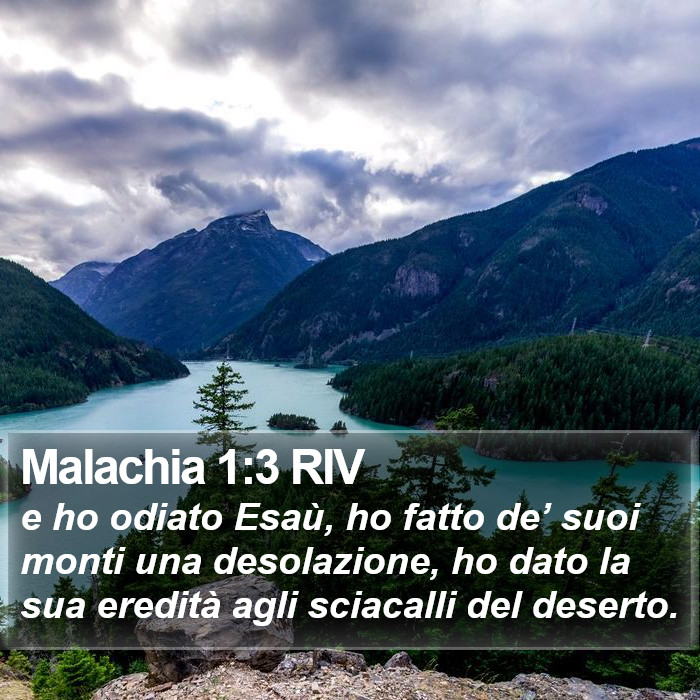 Malachia 1:3 RIV Bible Study