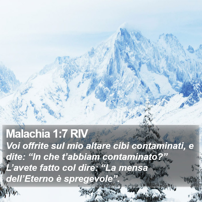 Malachia 1:7 RIV Bible Study