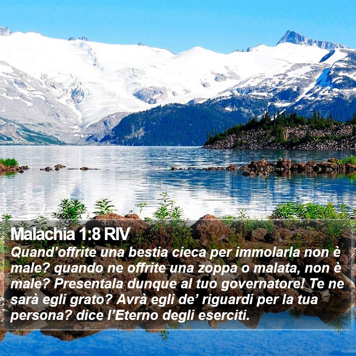 Malachia 1:8 RIV Bible Study