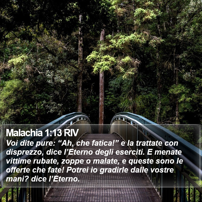 Malachia 1:13 RIV Bible Study