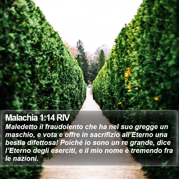 Malachia 1:14 RIV Bible Study