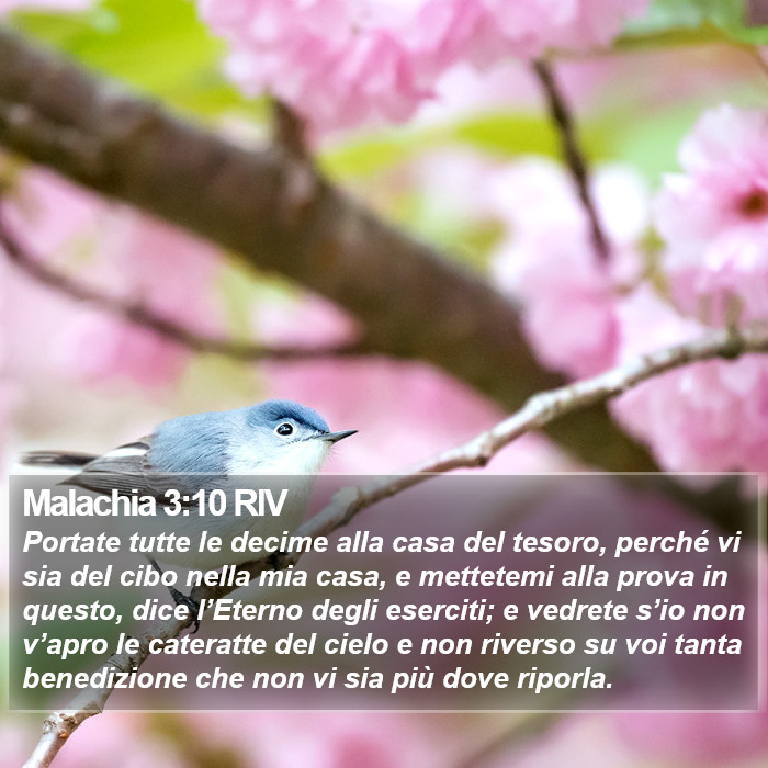 Malachia 3:10 RIV Bible Study