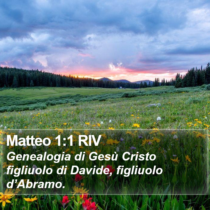 Matteo 1:1 RIV Bible Study