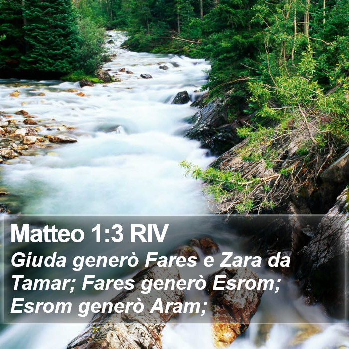 Matteo 1:3 RIV Bible Study