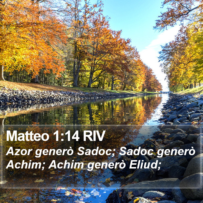 Matteo 1:14 RIV Bible Study