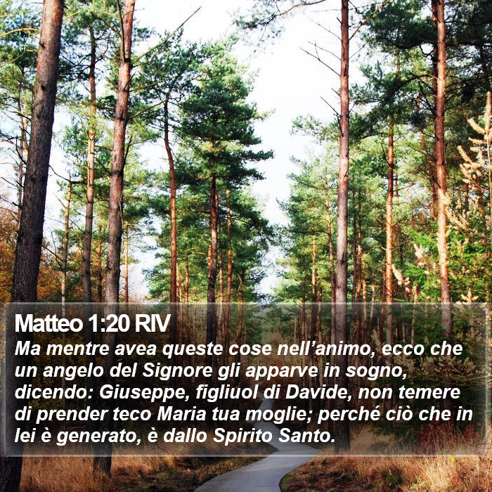 Matteo 1:20 RIV Bible Study