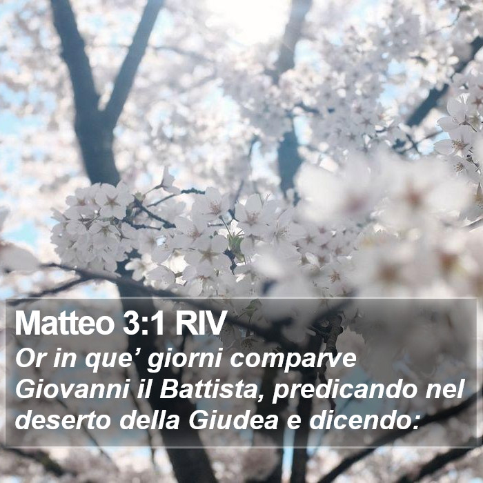 Matteo 3:1 RIV Bible Study