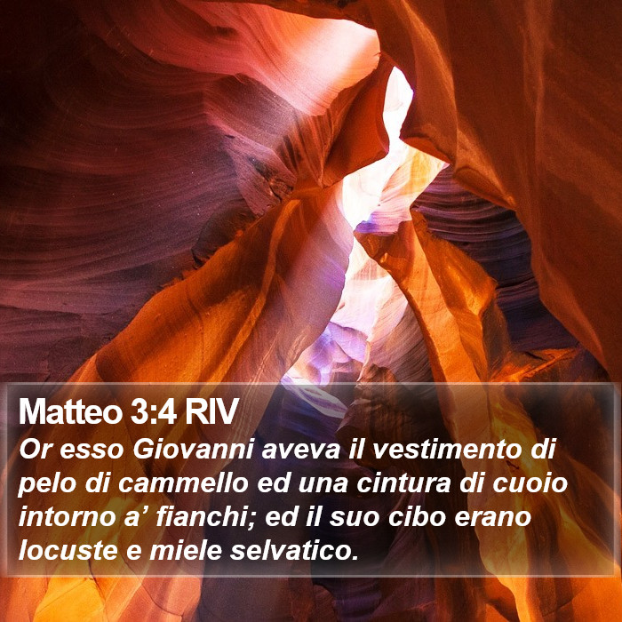 Matteo 3:4 RIV Bible Study