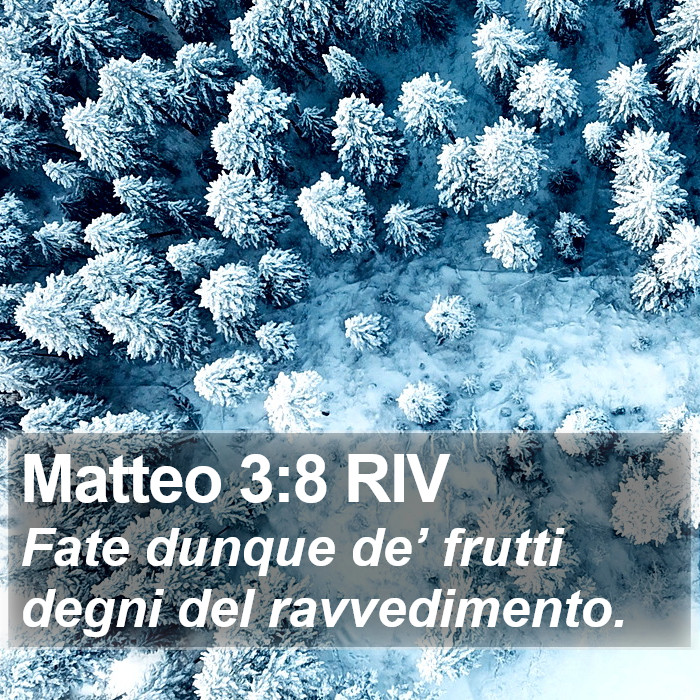 Matteo 3:8 RIV Bible Study