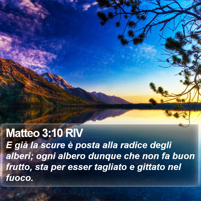 Matteo 3:10 RIV Bible Study