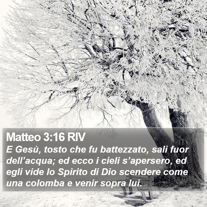 Matteo 3:16 RIV Bible Study