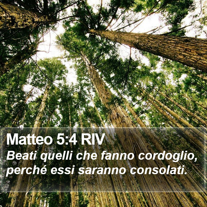 Matteo 5:4 RIV Bible Study