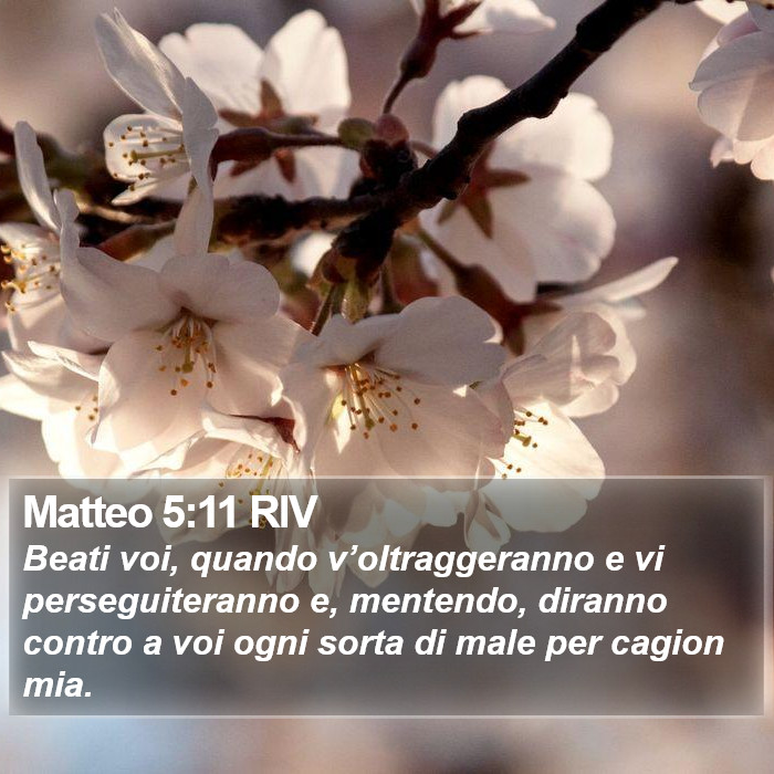 Matteo 5:11 RIV Bible Study