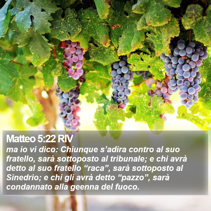 Matteo 5:22 RIV Bible Study