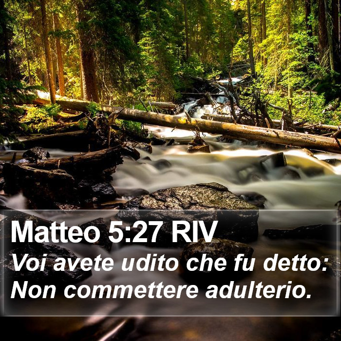 Matteo 5:27 RIV Bible Study