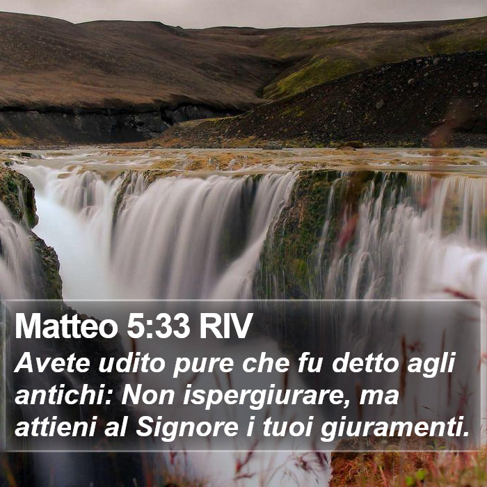 Matteo 5:33 RIV Bible Study