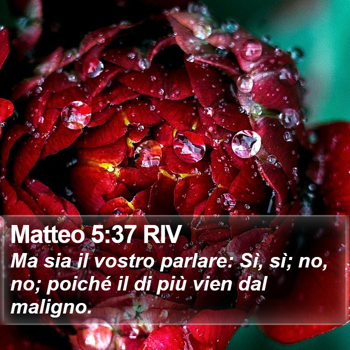 Matteo 5:37 RIV Bible Study