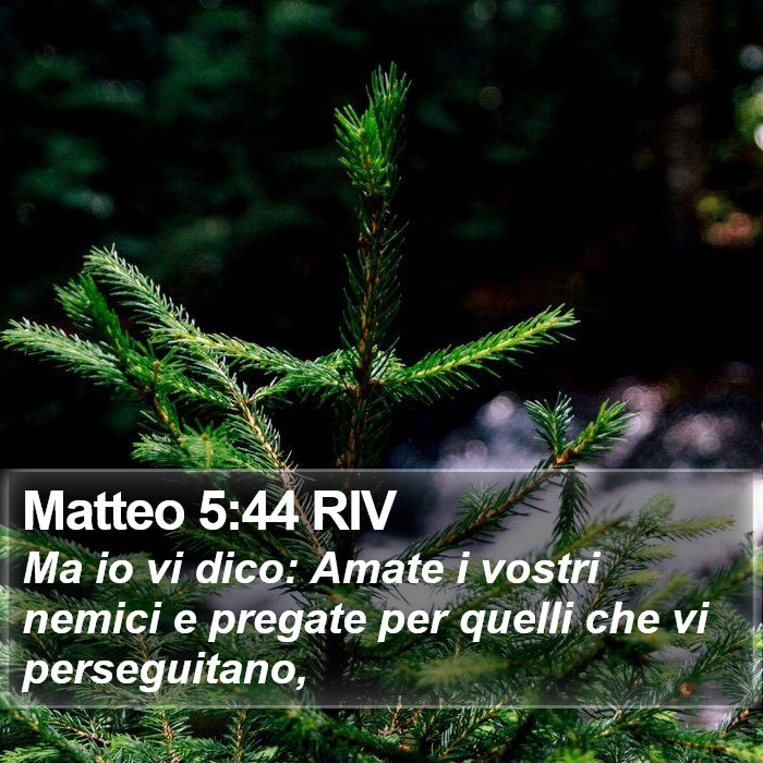 Matteo 5:44 RIV Bible Study