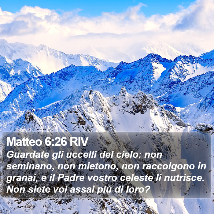 Matteo 6:26 RIV Bible Study