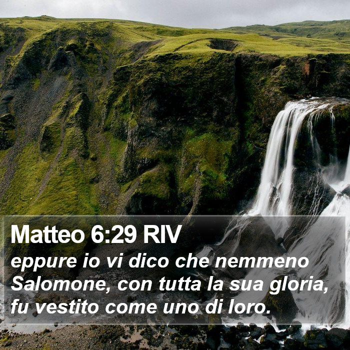 Matteo 6:29 RIV Bible Study