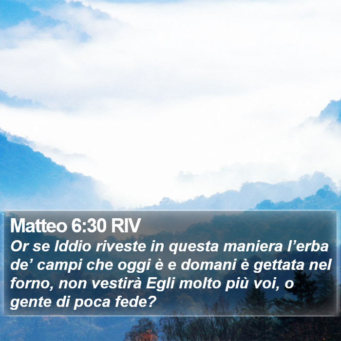 Matteo 6:30 RIV Bible Study
