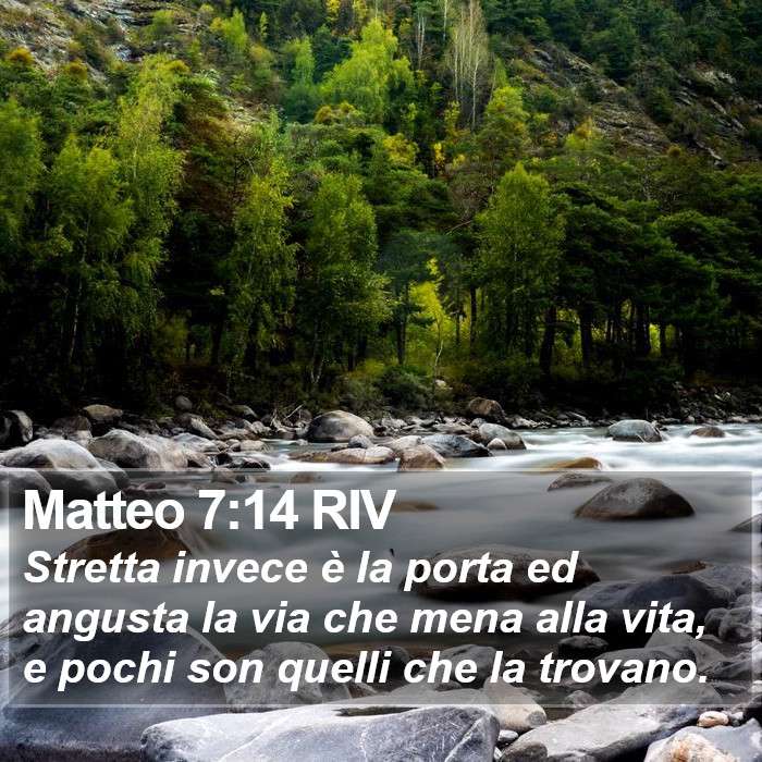 Matteo 7:14 RIV Bible Study
