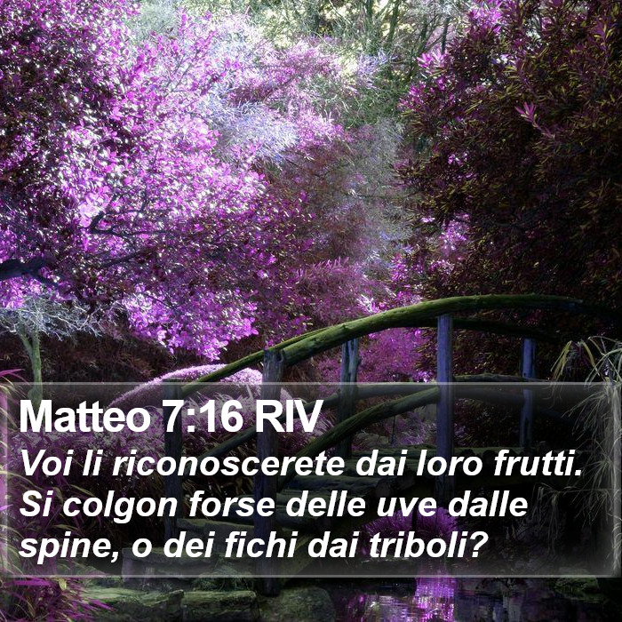 Matteo 7:16 RIV Bible Study