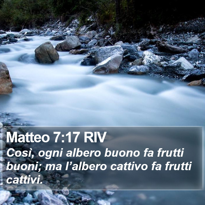 Matteo 7:17 RIV Bible Study