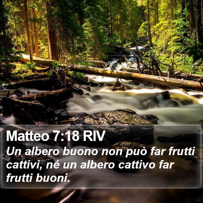 Matteo 7:18 RIV Bible Study