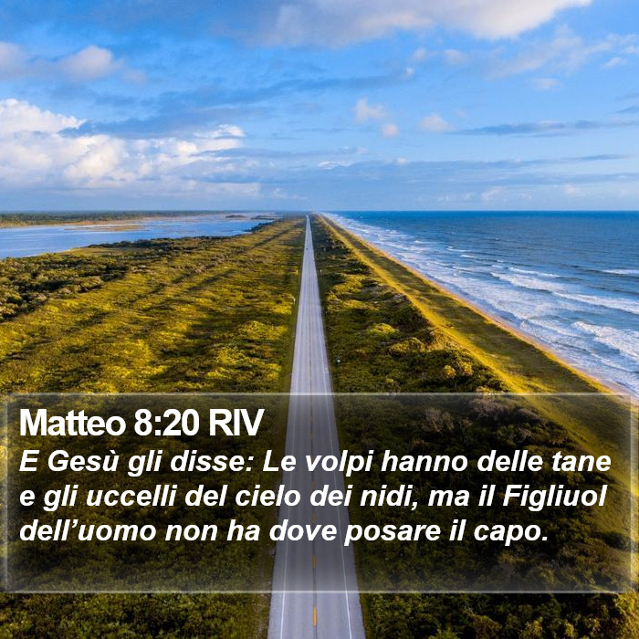 Matteo 8:20 RIV Bible Study
