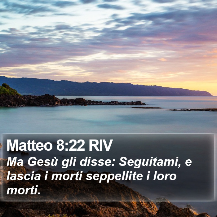 Matteo 8:22 RIV Bible Study