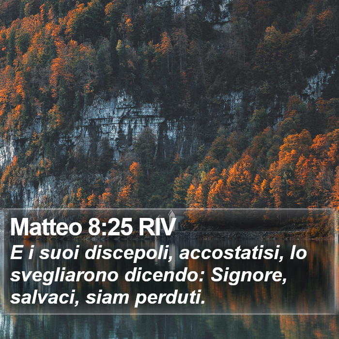 Matteo 8:25 RIV Bible Study