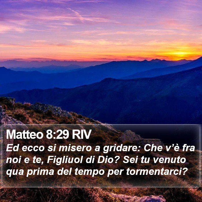 Matteo 8:29 RIV Bible Study