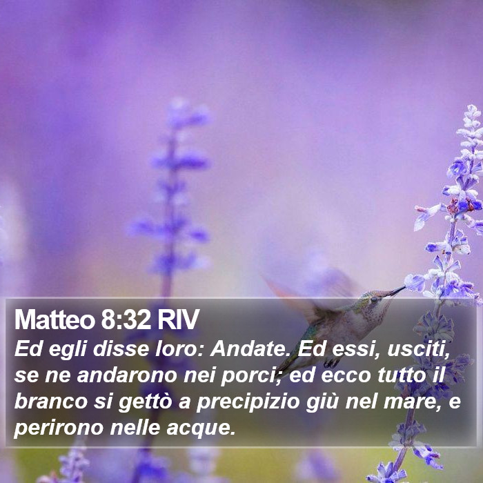 Matteo 8:32 RIV Bible Study