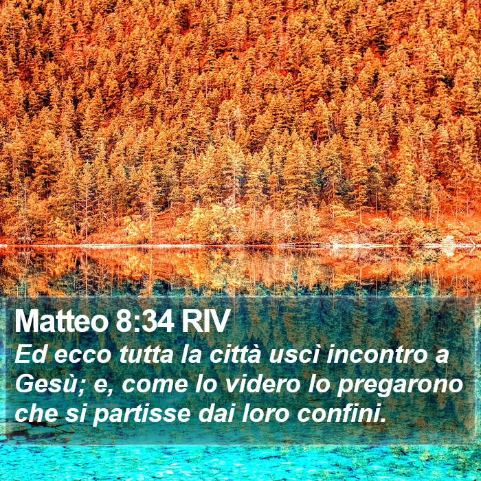 Matteo 8:34 RIV Bible Study