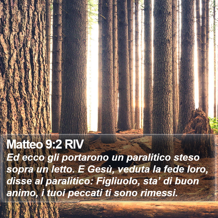 Matteo 9:2 RIV Bible Study