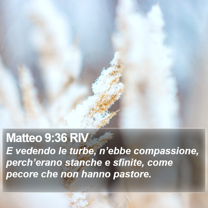 Matteo 9:36 RIV Bible Study
