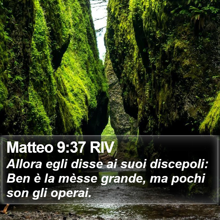 Matteo 9:37 RIV Bible Study
