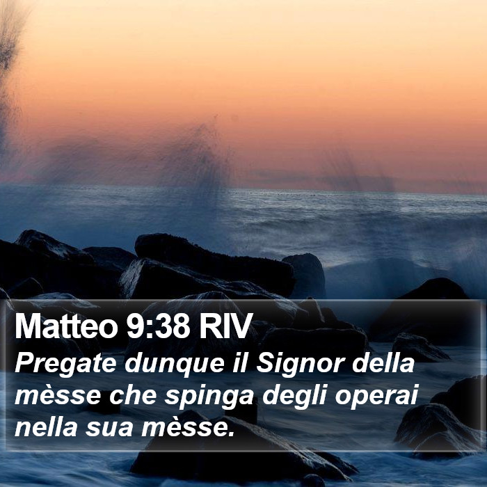 Matteo 9:38 RIV Bible Study