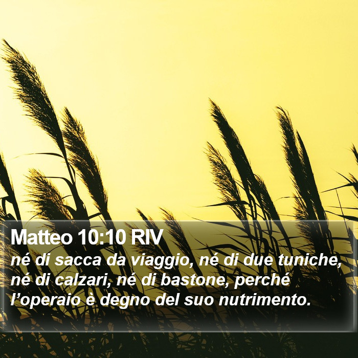 Matteo 10:10 RIV Bible Study