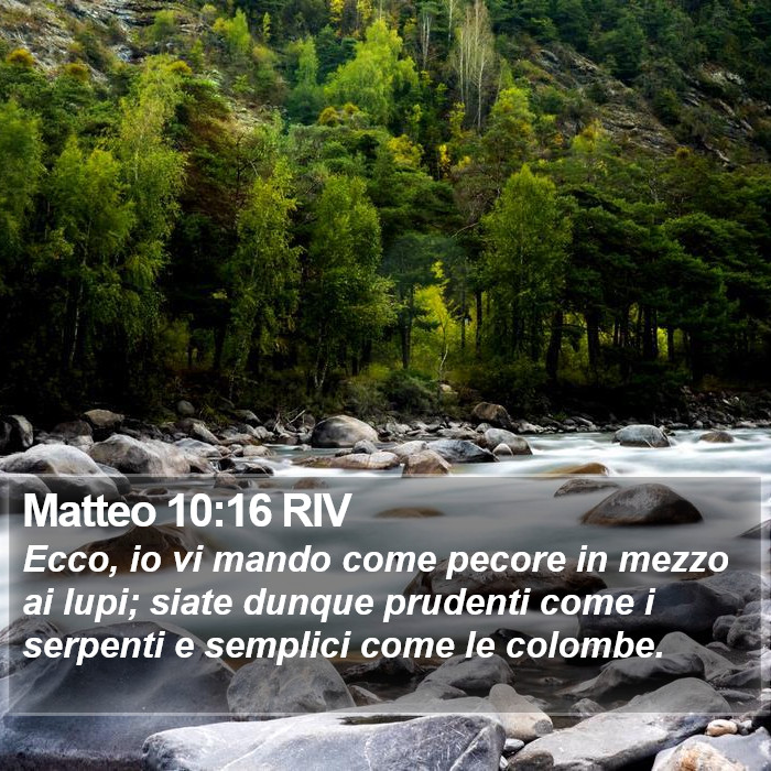 Matteo 10:16 RIV Bible Study