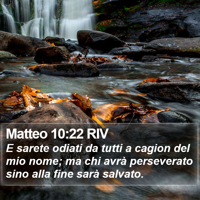 Matteo 10:22 RIV Bible Study