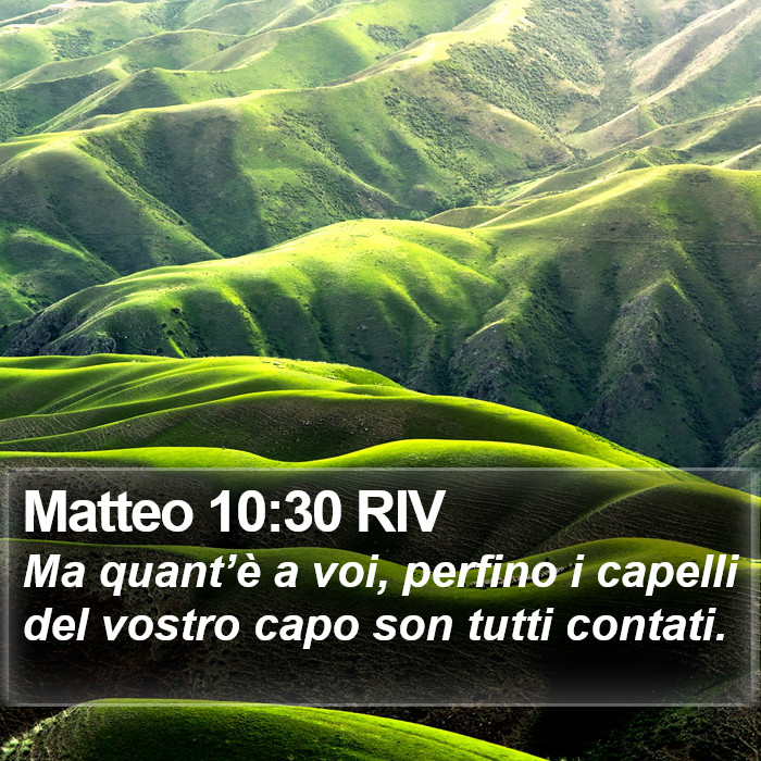 Matteo 10:30 RIV Bible Study