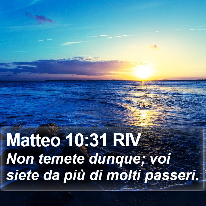 Matteo 10:31 RIV Bible Study