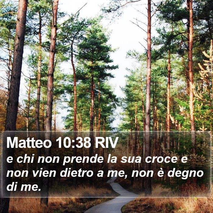 Matteo 10:38 RIV Bible Study