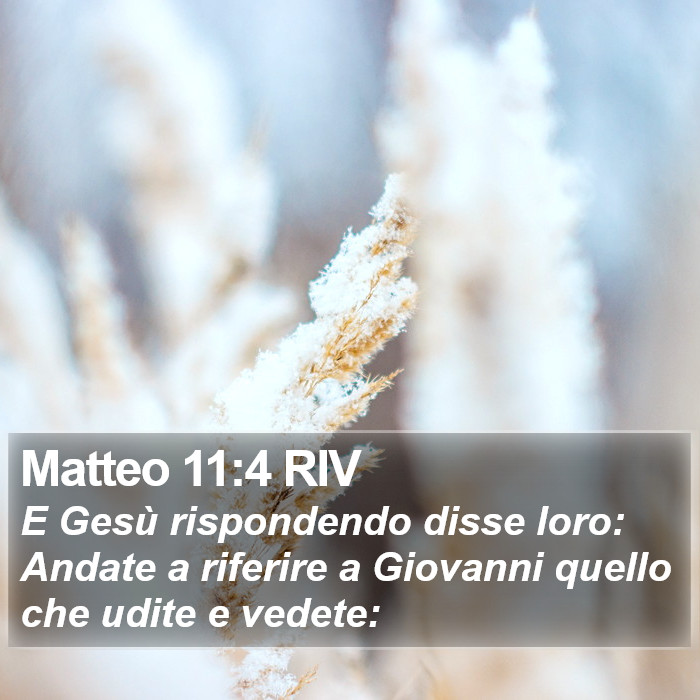Matteo 11:4 RIV Bible Study