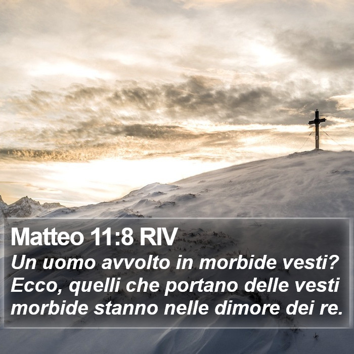 Matteo 11:8 RIV Bible Study