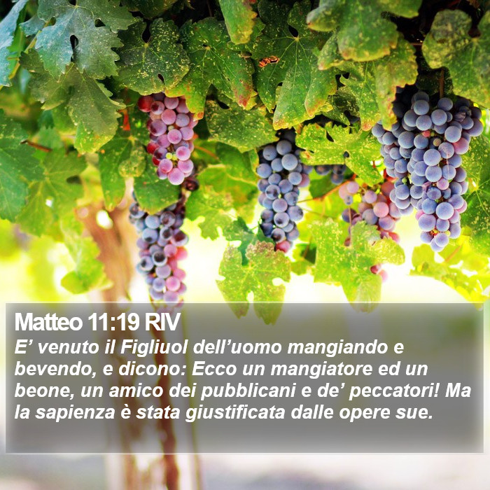Matteo 11:19 RIV Bible Study