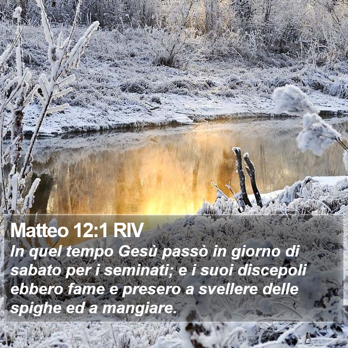 Matteo 12:1 RIV Bible Study