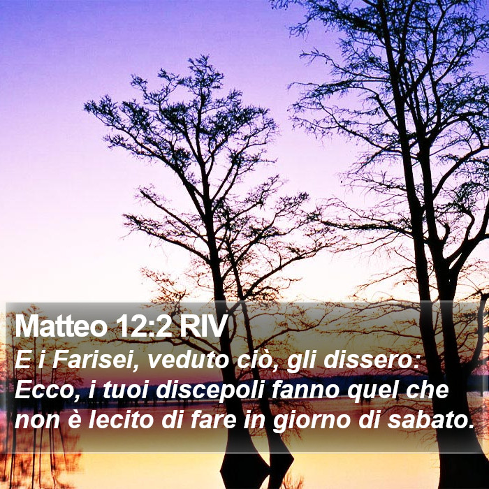 Matteo 12:2 RIV Bible Study